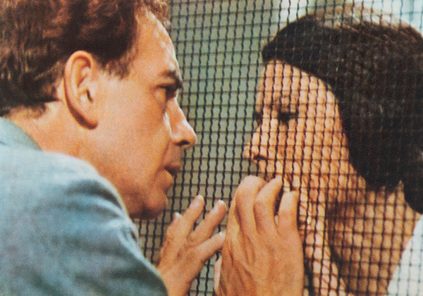 死刑台のメロディ 4K リマスター・英語版 3枚目の写真・画像