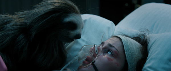 キラー・ナマケモノ 6枚目の写真・画像