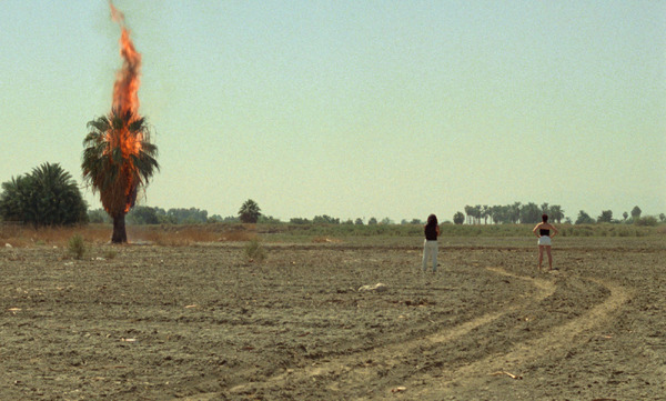 クイーン・オブ・ダイヤモンド 3枚目の写真・画像