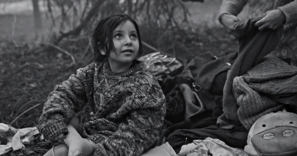 人間の境界 5枚目の写真・画像