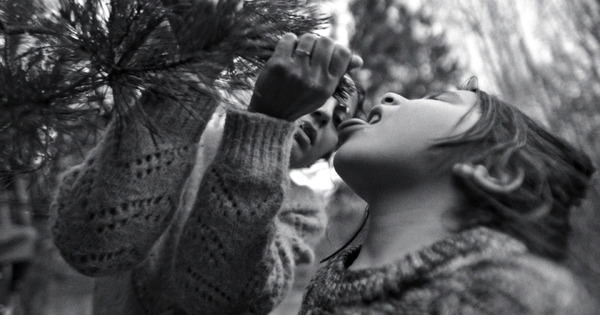 人間の境界 11枚目の写真・画像