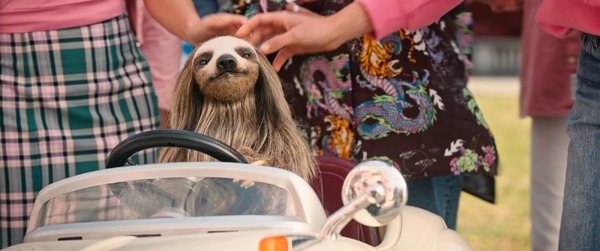 キラー・ナマケモノ 9枚目の写真・画像