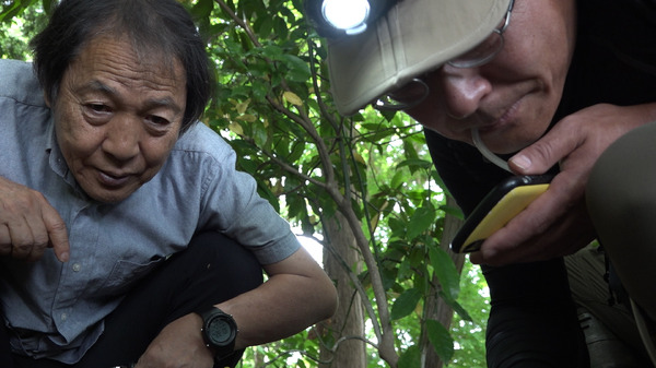 うんこと死体の復権 2枚目の写真・画像