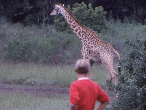 エンドレス・サマー デジタルリマスター版 7枚目の写真・画像