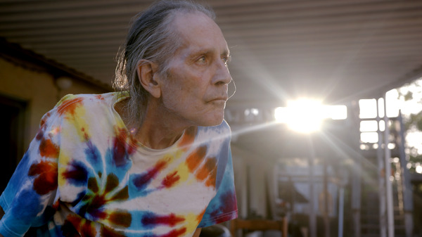 ラウダー・ザン・ユー・シンク ギャリー・ヤングとペイヴメントの物語 2枚目の写真・画像