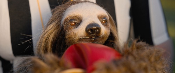 キラー・ナマケモノ 16枚目の写真・画像