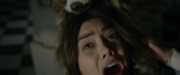 キラー・ナマケモノ 17枚目の写真・画像