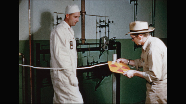 リッチランド 14枚目の写真・画像