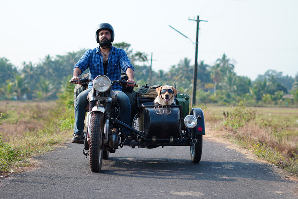 チャーリー 3枚目の写真・画像