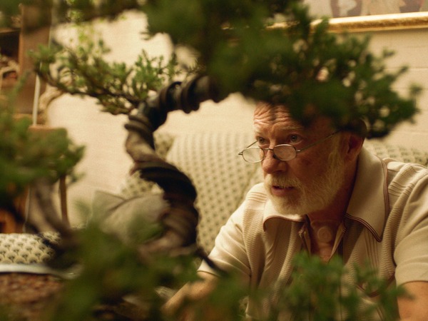 夏の終わりに願うこと 6枚目の写真・画像