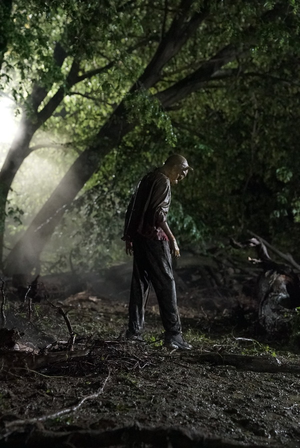 プー２  あくまのくまさんとじゃあくななかまたち 12枚目の写真・画像