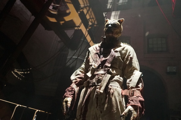 プー２  あくまのくまさんとじゃあくななかまたち 13枚目の写真・画像