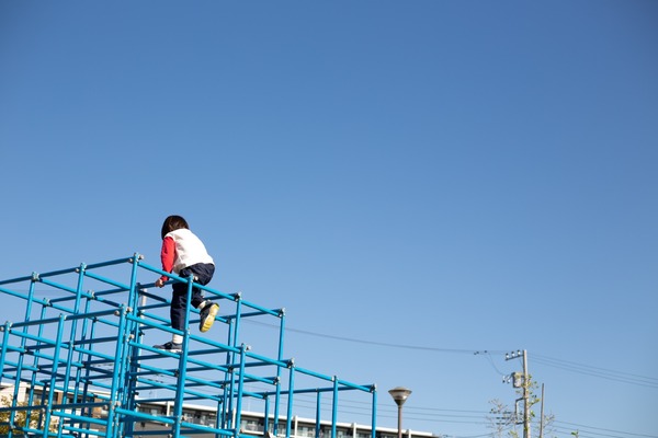 とりつくしま 17枚目の写真・画像