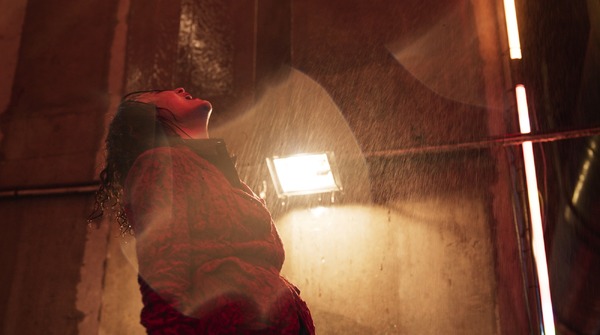 西湖畔（せいこはん）に生きる 14枚目の写真・画像