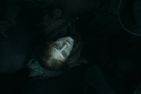 チャイコフスキーの妻 7枚目の写真・画像