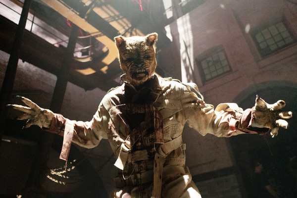 プー２  あくまのくまさんとじゃあくななかまたち 16枚目の写真・画像