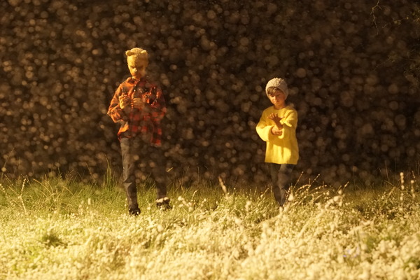 プー２  あくまのくまさんとじゃあくななかまたち 23枚目の写真・画像