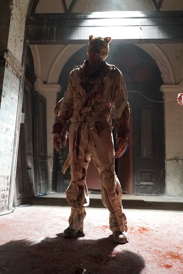 プー２  あくまのくまさんとじゃあくななかまたち 27枚目の写真・画像