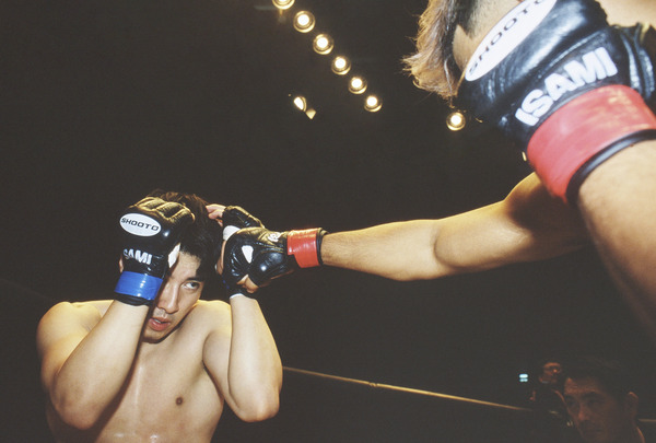 若き見知らぬ者たち 5枚目の写真・画像