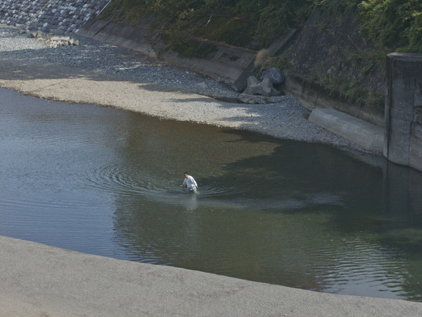 石がある 6枚目の写真・画像