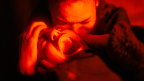 スパイダー／増殖 8枚目の写真・画像