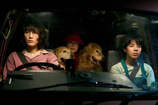 ルート29 9枚目の写真・画像