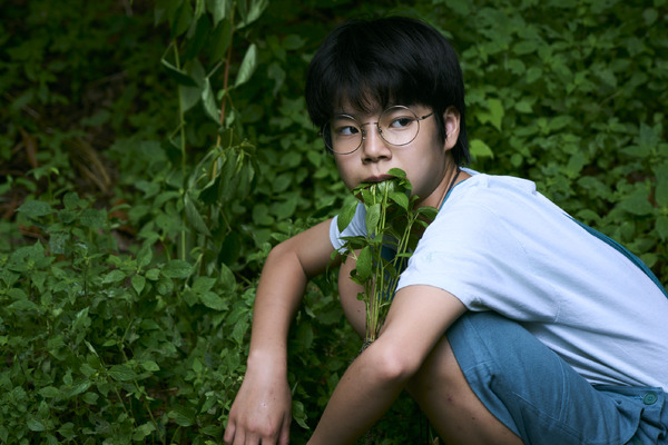 ルート29 14枚目の写真・画像