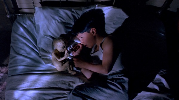 柔らかい殻 デジタルリマスター版 3枚目の写真・画像