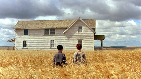 柔らかい殻 デジタルリマスター版 4枚目の写真・画像