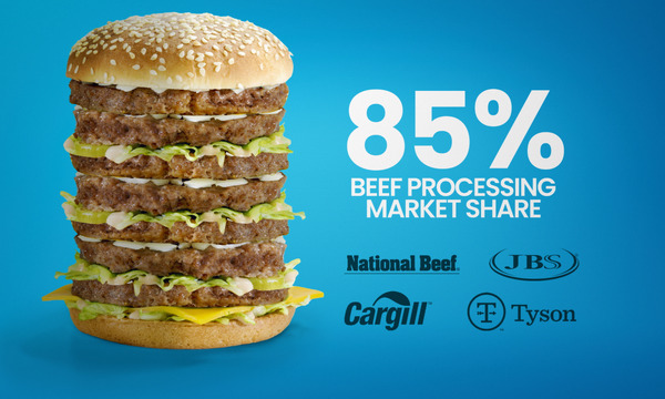 フード・インク ポスト・コロナ 5枚目の写真・画像