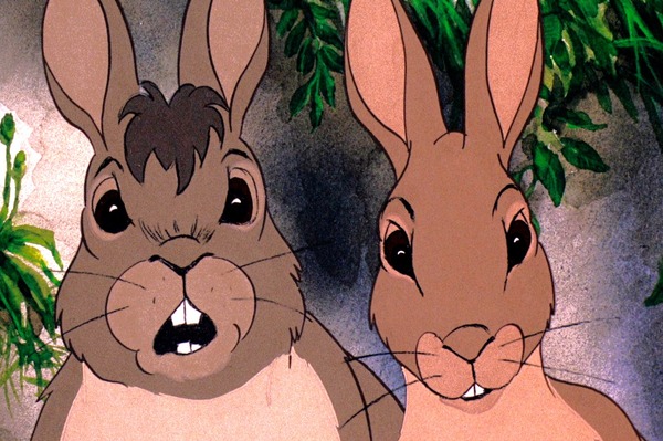 ウォーターシップ・ダウンのうさぎたち HD リマスター版 3枚目の写真・画像