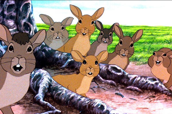 ウォーターシップ・ダウンのうさぎたち HD リマスター版 4枚目の写真・画像