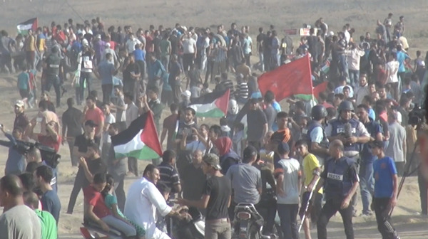 ガザからの報告 18枚目の写真・画像