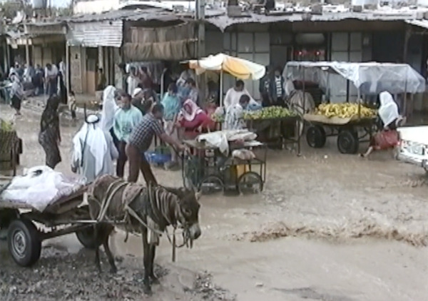 ガザからの報告 23枚目の写真・画像