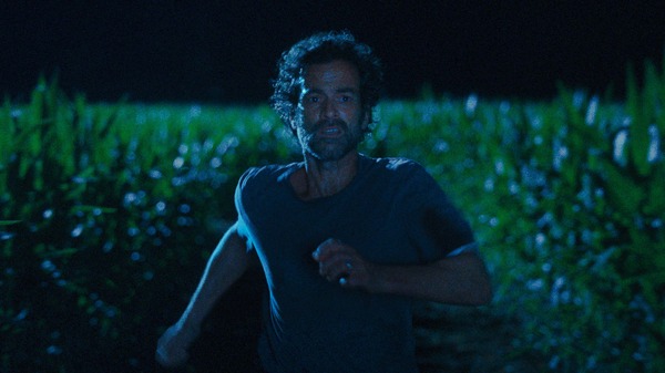 動物界 6枚目の写真・画像