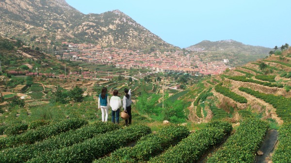 夏が来て、冬が往く 3枚目の写真・画像