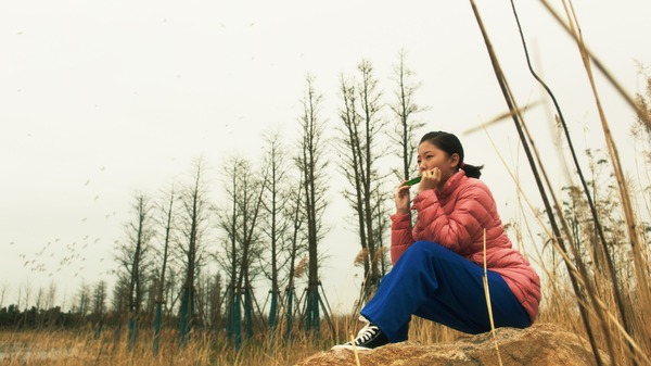夏が来て、冬が往く 9枚目の写真・画像