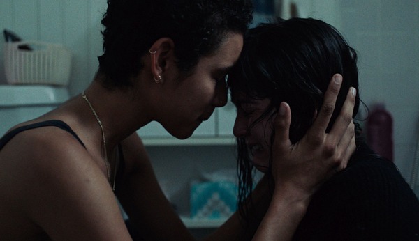 ノーヴィス 7枚目の写真・画像