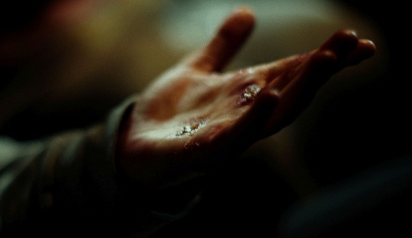 ノーヴィス 12枚目の写真・画像