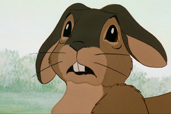 ウォーターシップ・ダウンのうさぎたち HD リマスター版8枚目の写真