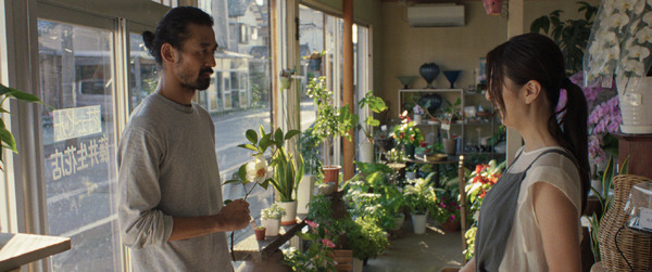 火の華 5枚目の写真・画像