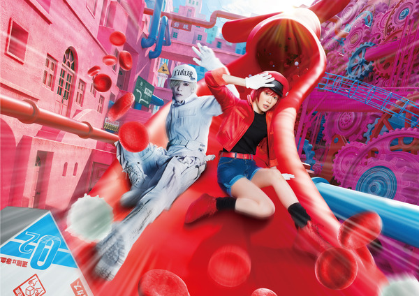 はたらく細胞 2枚目の写真・画像