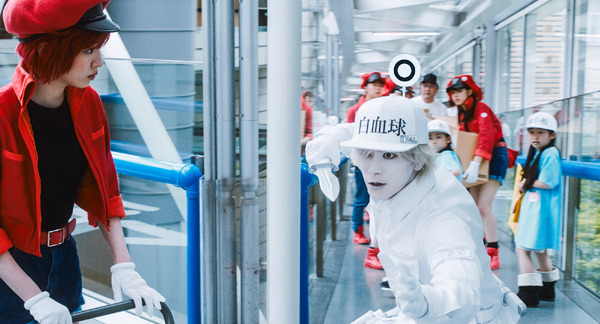 はたらく細胞 4枚目の写真・画像