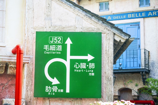 はたらく細胞 7枚目の写真・画像