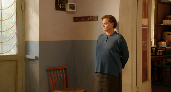 ブラックバード、ブラックベリー、私は私。 6枚目の写真・画像