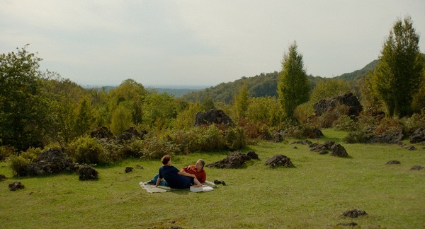 ブラックバード、ブラックベリー、私は私。 7枚目の写真・画像