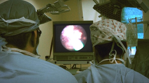 人体の構造について 4枚目の写真・画像