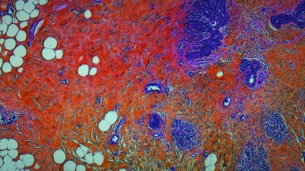 人体の構造について 5枚目の写真・画像