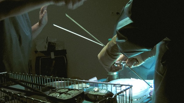 人体の構造について 7枚目の写真・画像