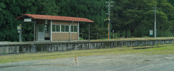 カオルの葬式 9枚目の写真・画像